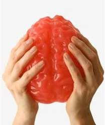 Candy Floss Land World's Largest Gummy Brain