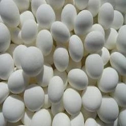 Candy Floss Land Scotch Mint's Hard Candy