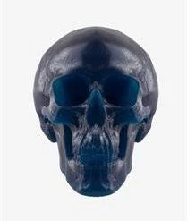 Candy Floss Land Blue Candy World's Largest Gummy Skull
