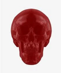 Candy Floss Land Blue Candy World's Largest Gummy Skull