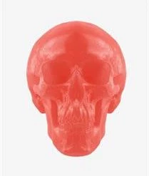 Candy Floss Land Blue Candy World's Largest Gummy Skull